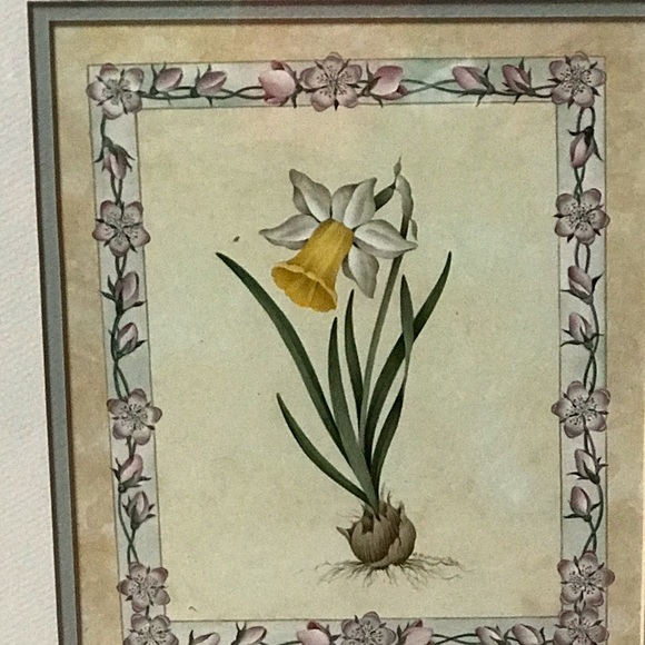Daffodil print double matted in shabby chic frame - Picture 2 of 4